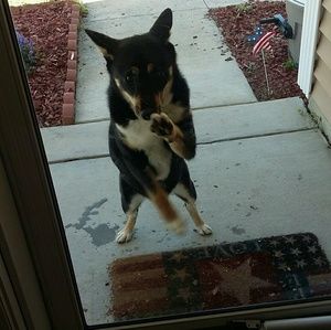 Meet your Posher, Jordyn